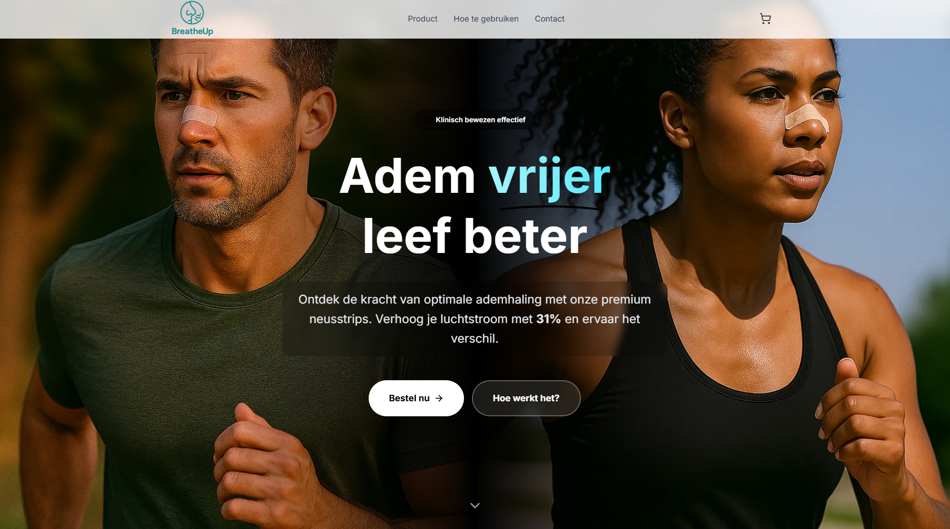Website Portfolio Example 1
